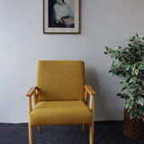 Fauteuil du milieu du siècle, 1960