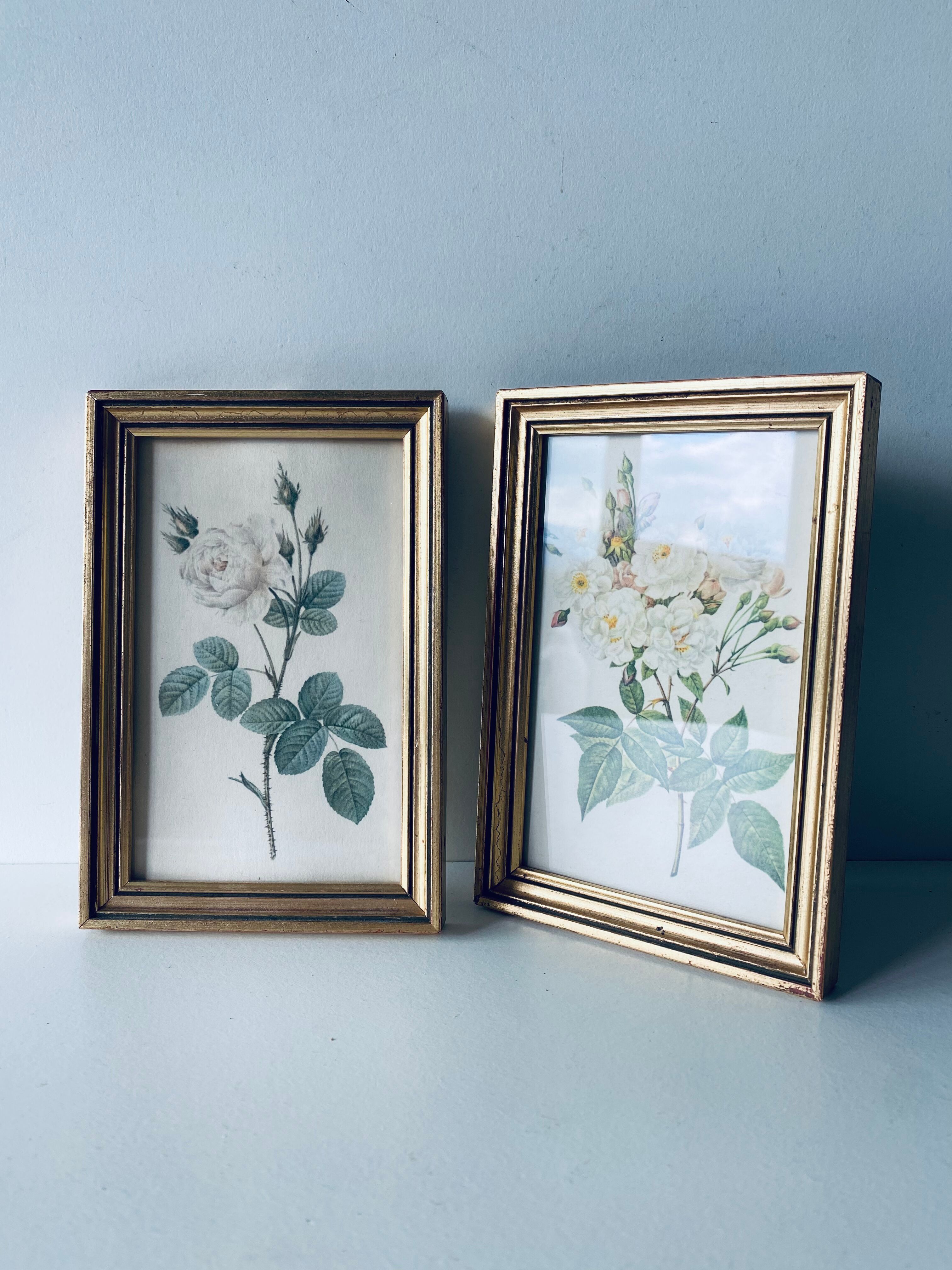 Duo of framed lithographs