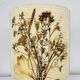 Ceramic ball lamp and dried flower lampshade