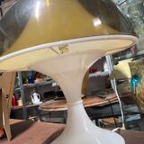 Tulip lamp