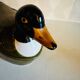 Vintage duck ceramic box 50'