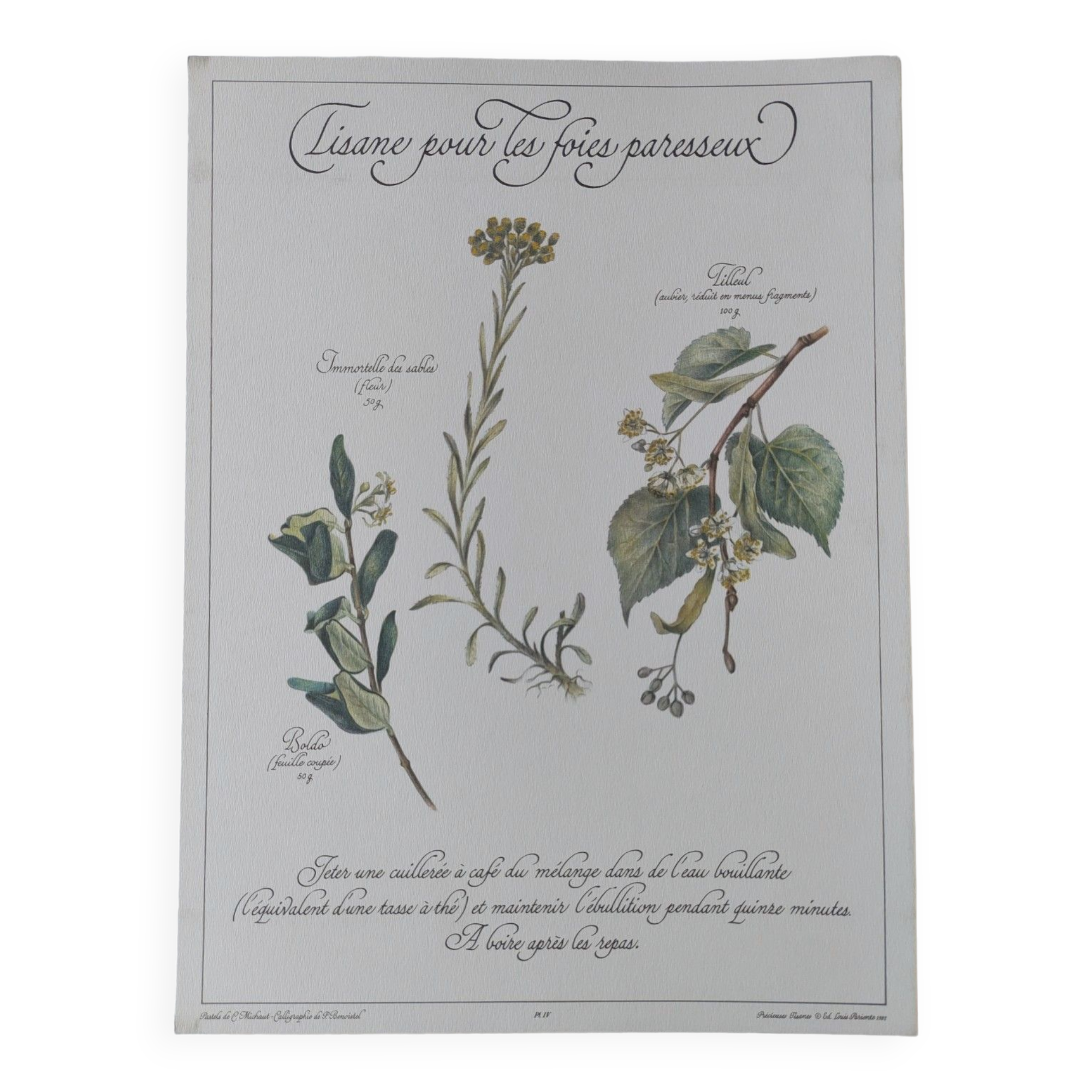 Botanical engraving -Herbal tea for lazy times- Illustration of medicinal plants and herbs