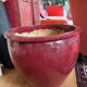 Large XXL pot in beef blood colour CFOC