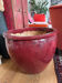 Large XXL pot in beef blood colour CFOC