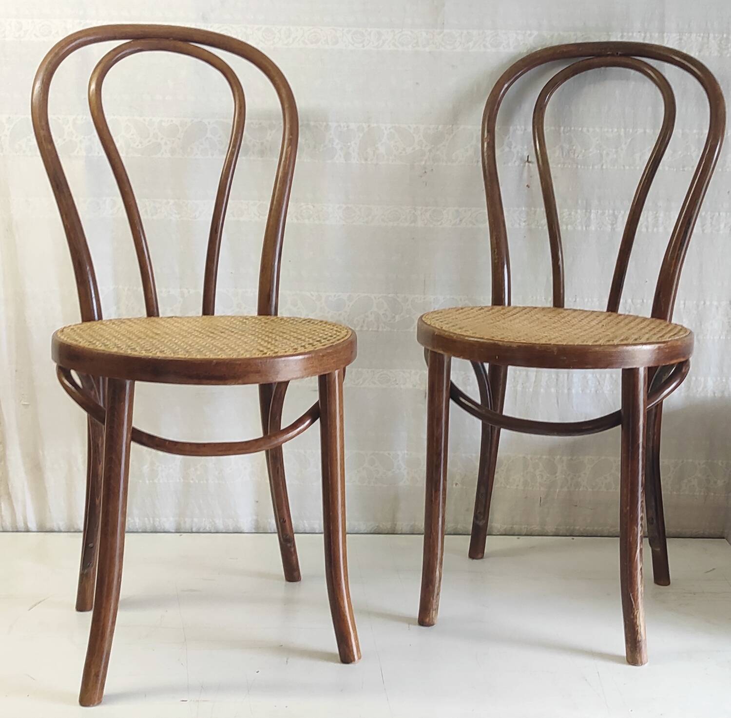 Bistro chair in bentwood and canework - mid. 20th century