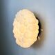 Bubbles wall lamp by Helena Tynell for Limburg, Germany, 1970