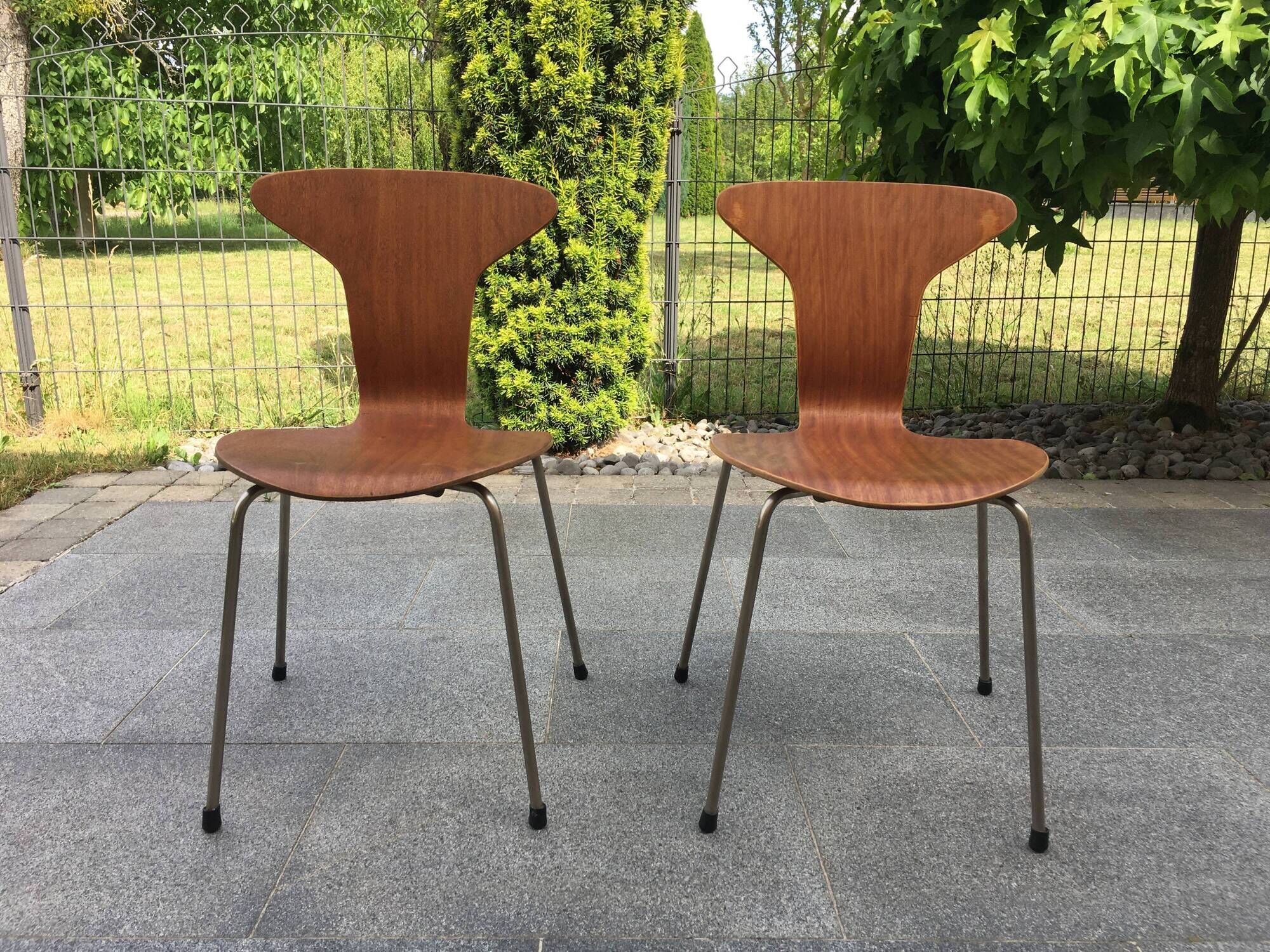 Set of 2 chairs 3105 Mosquito by Arne Jacobsen for Fritz Hansen 50s