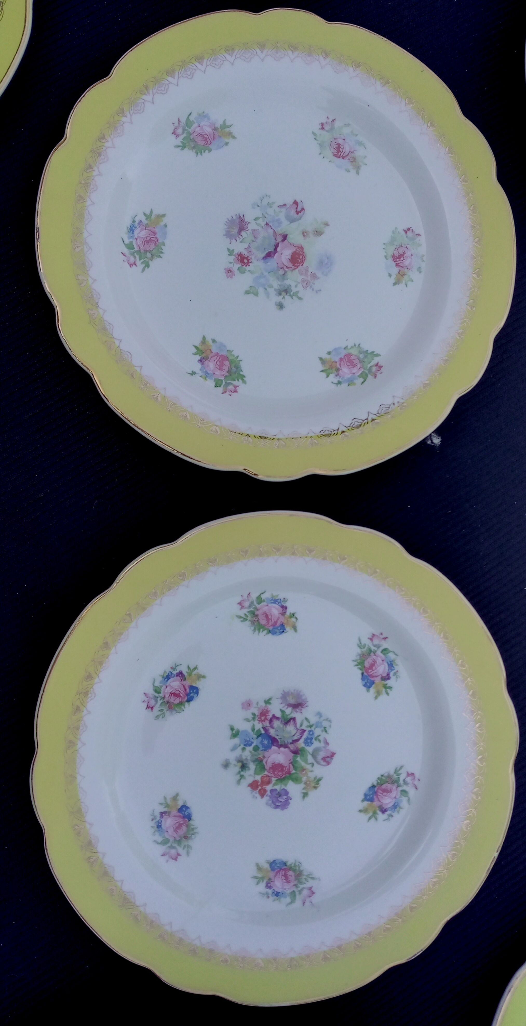 10 flat plates model graziella sarreguemines & digoin