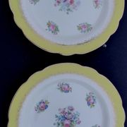 10 assiettes plates modèle graziella sarreguemines & digoin