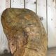 Olive wood dish