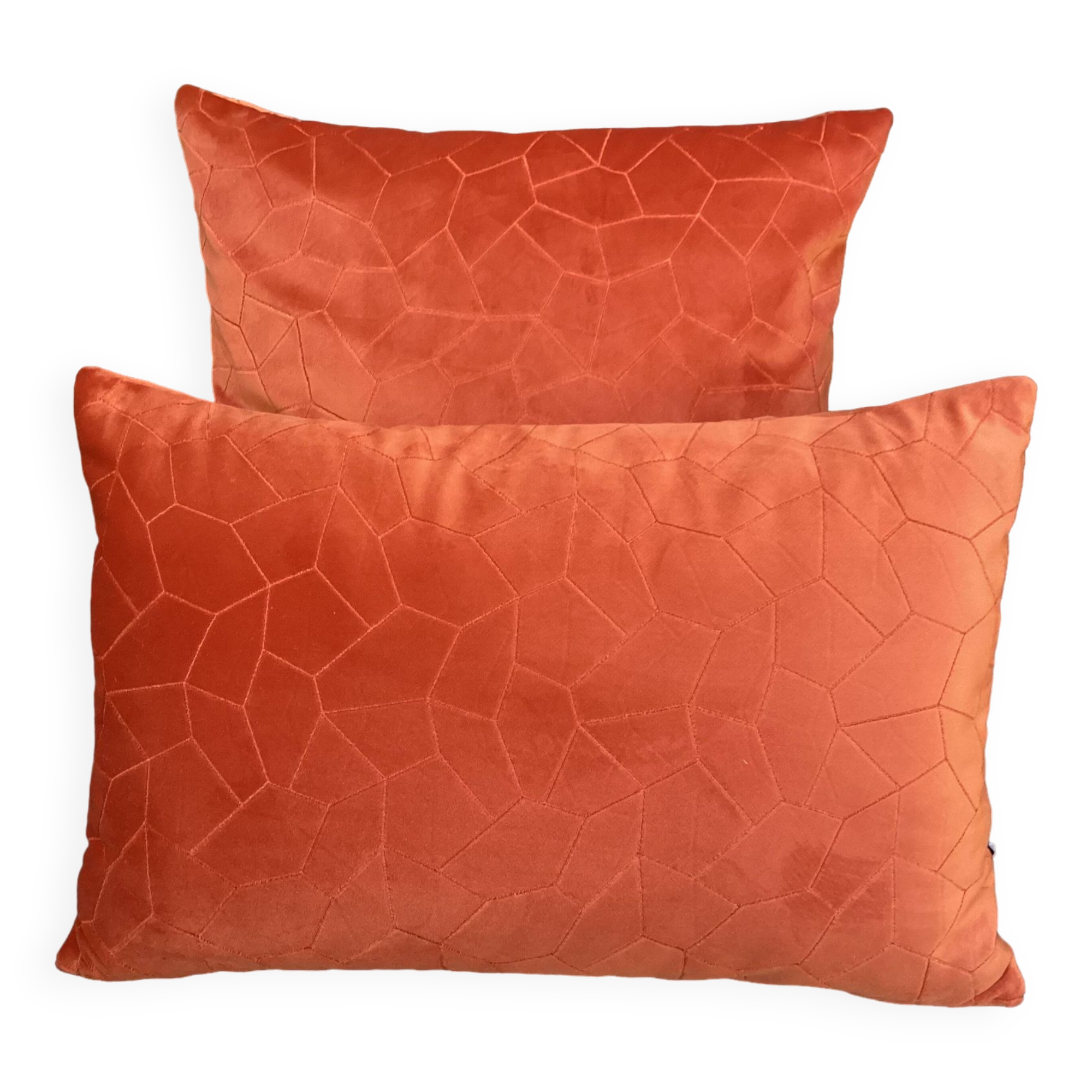 Duo of rust velvet cushions 50x50/40x58 cm