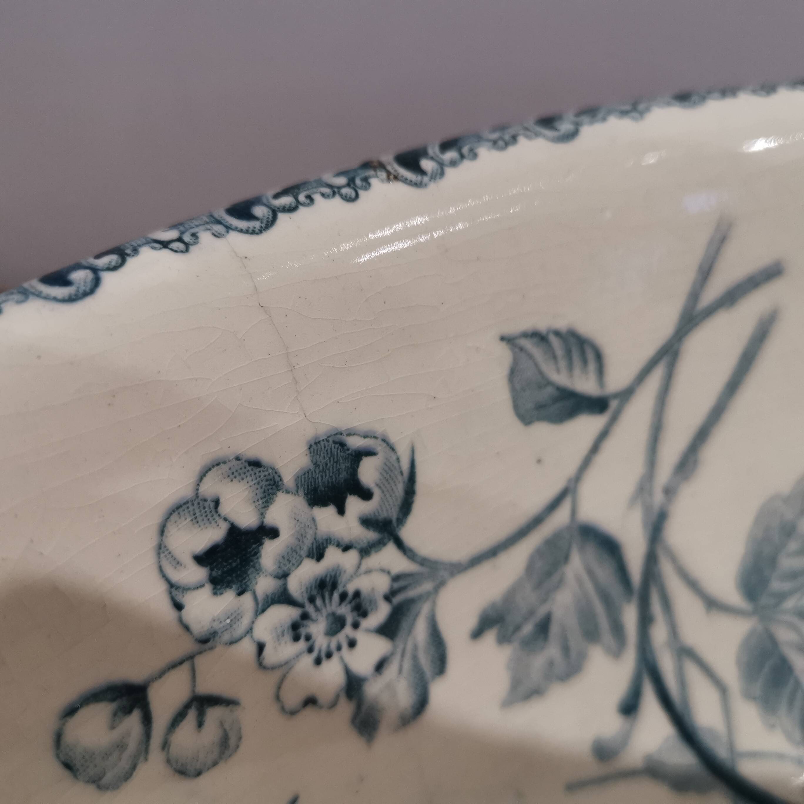 Old dish/ Terre De Fer basin Choisy-le-Roi E. Bourgeois