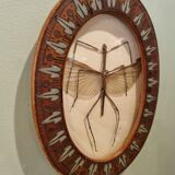 True stick insect frame