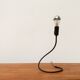 Lightworm minimalist table lamp by Walter Schnepel for Tecnolumen.