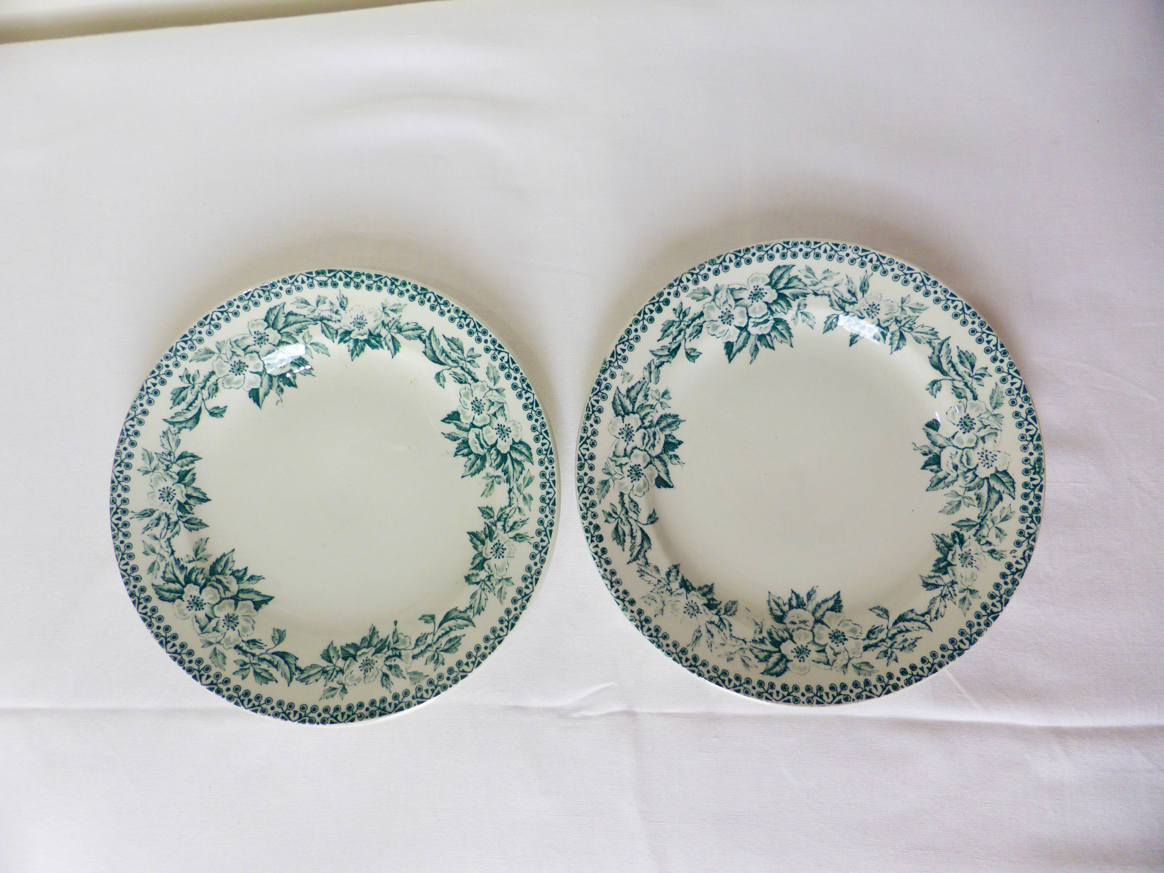 2 vintage dessert plates of St Amand model Guadeloupe