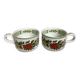 Paire de tasses Summer day villeroy et boch