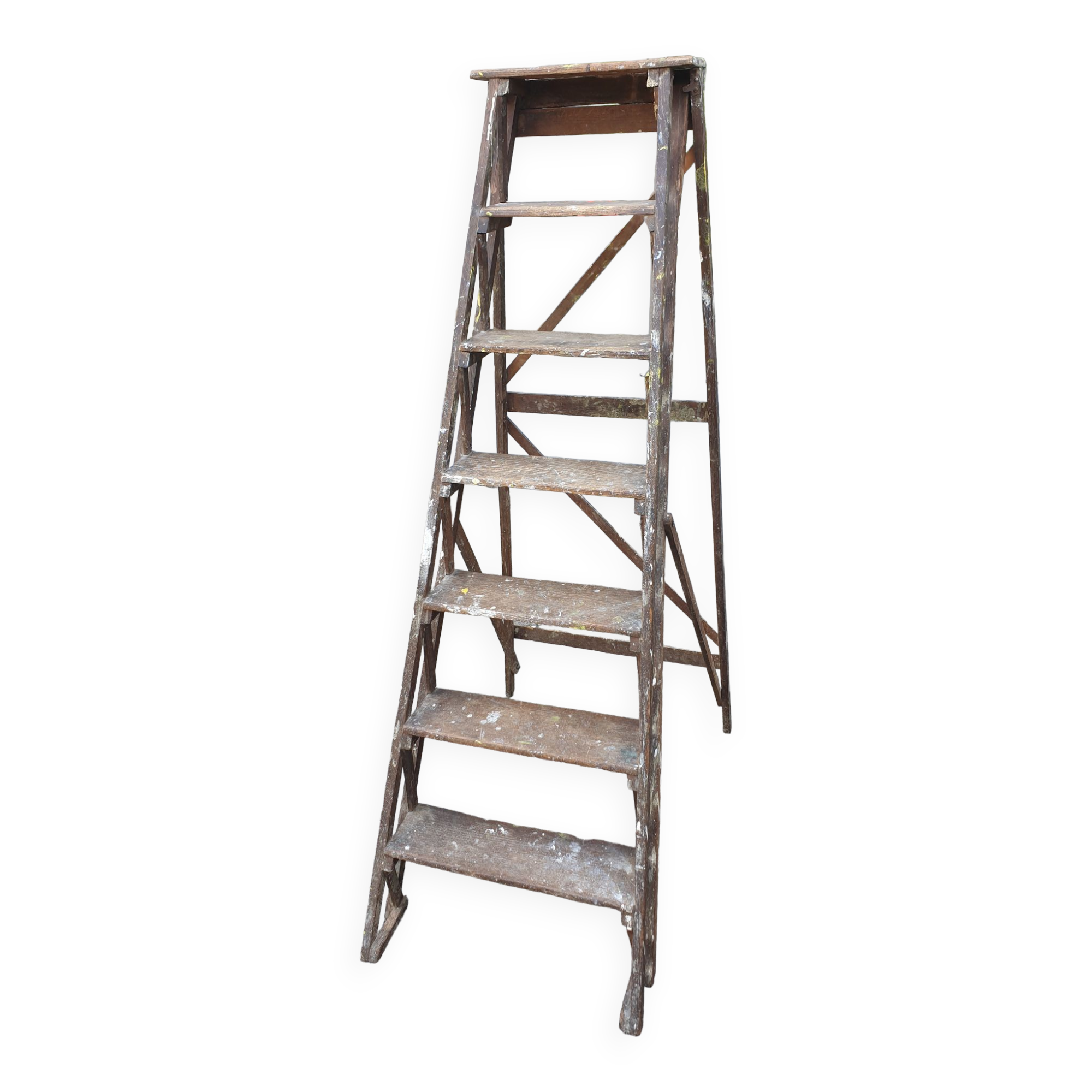 Painter's stepladder in solid beech