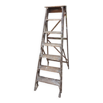 Painter's stepladder in solid beech