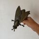 2 metal ashtrays with insect fly designs from the 1950s-60s.
