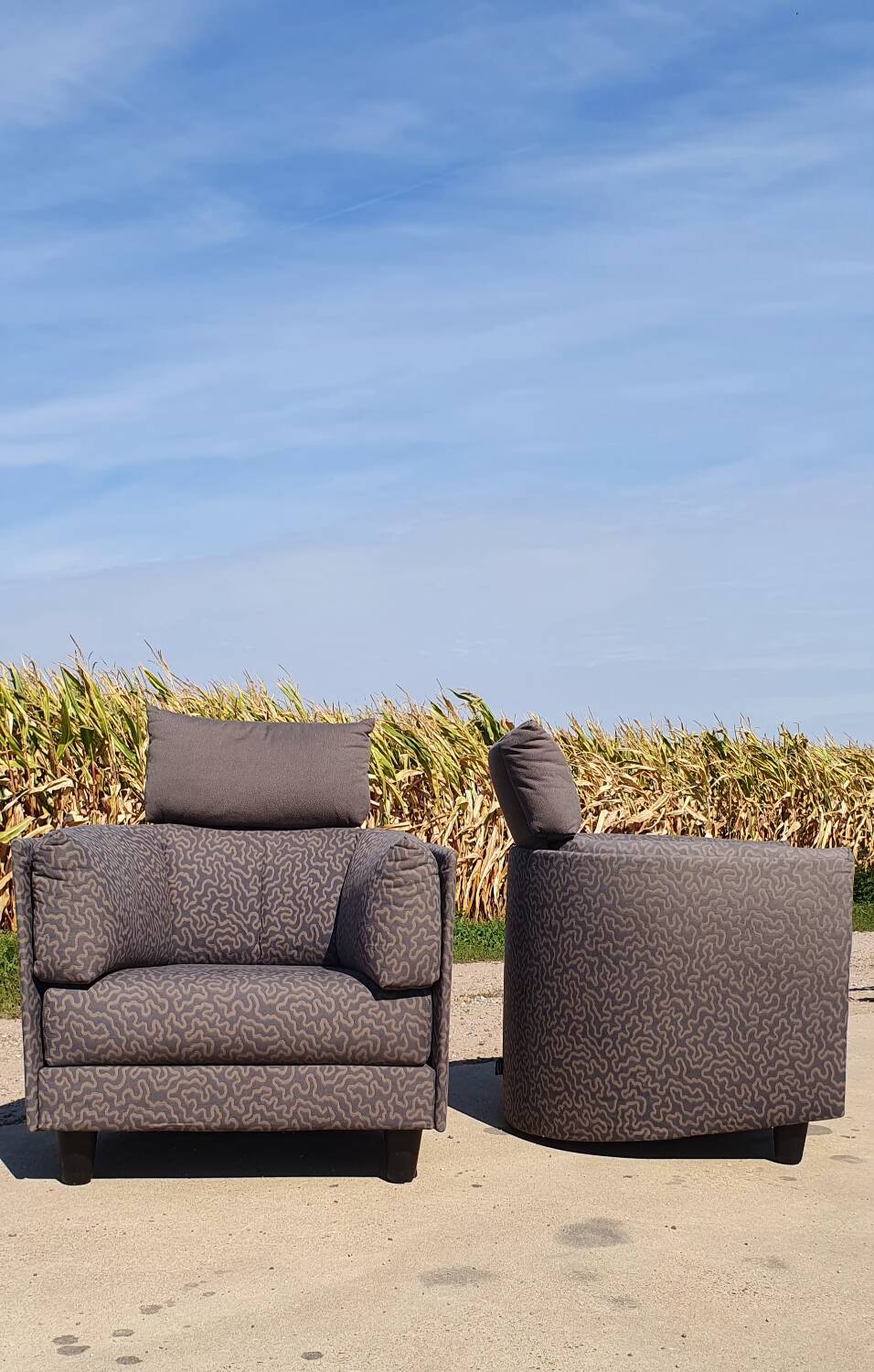 Set 2 - Design français Carina Cinna Ligne Roset