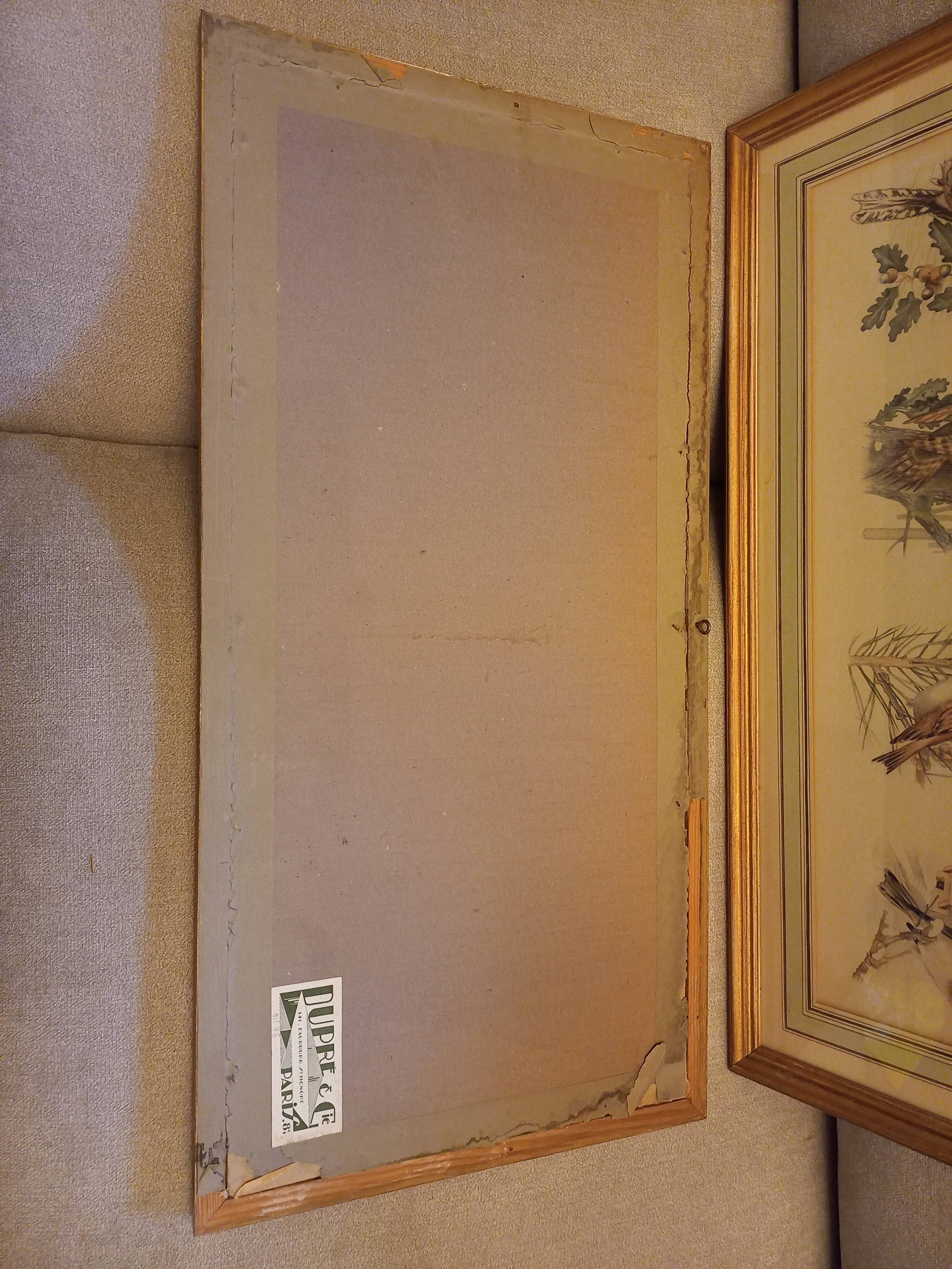 Lot 2 watercolors ancient birds