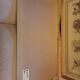 Lot 2 watercolors ancient birds