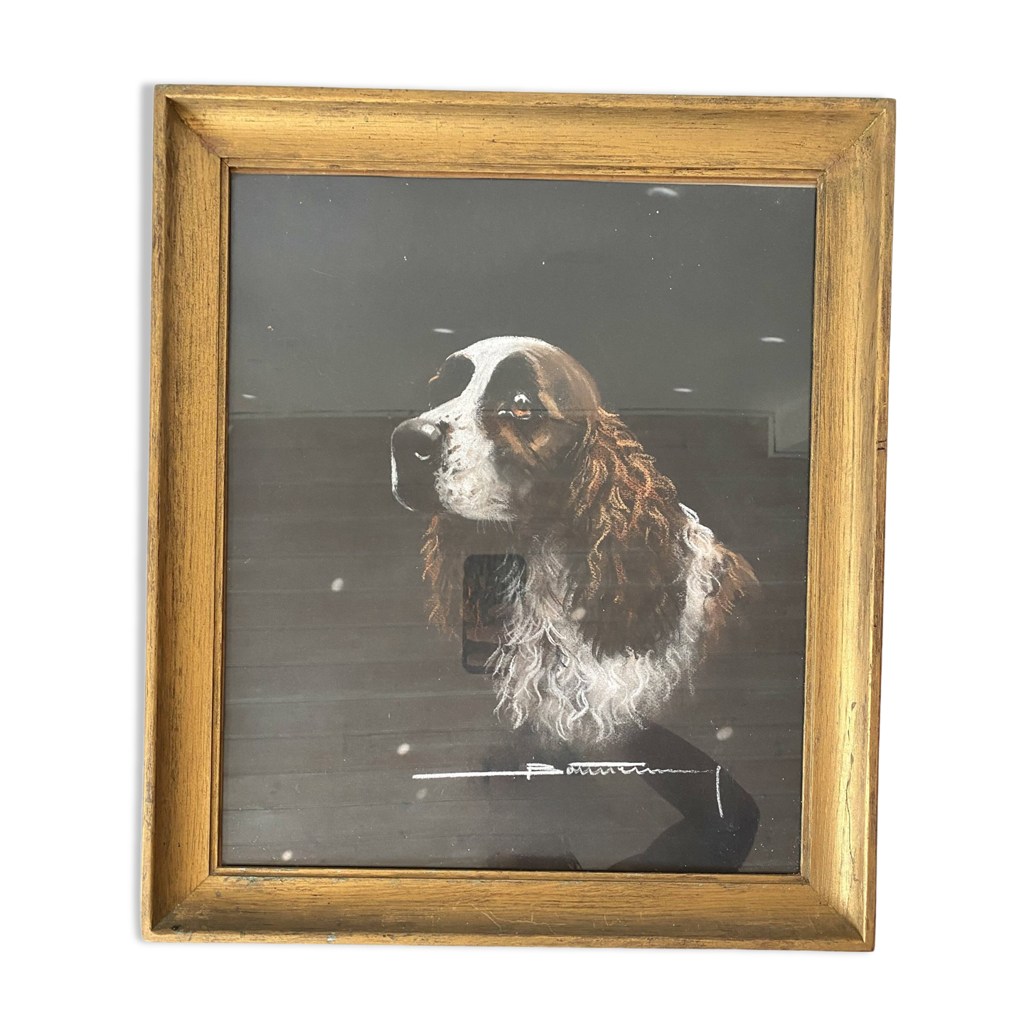 Framed pastel English Springer Spaniel dog