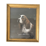 Framed pastel English Springer Spaniel dog