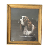 Pastel encadré Épagneul Springer anglais