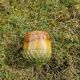 Scandinavian majolica ceramic vase / planter