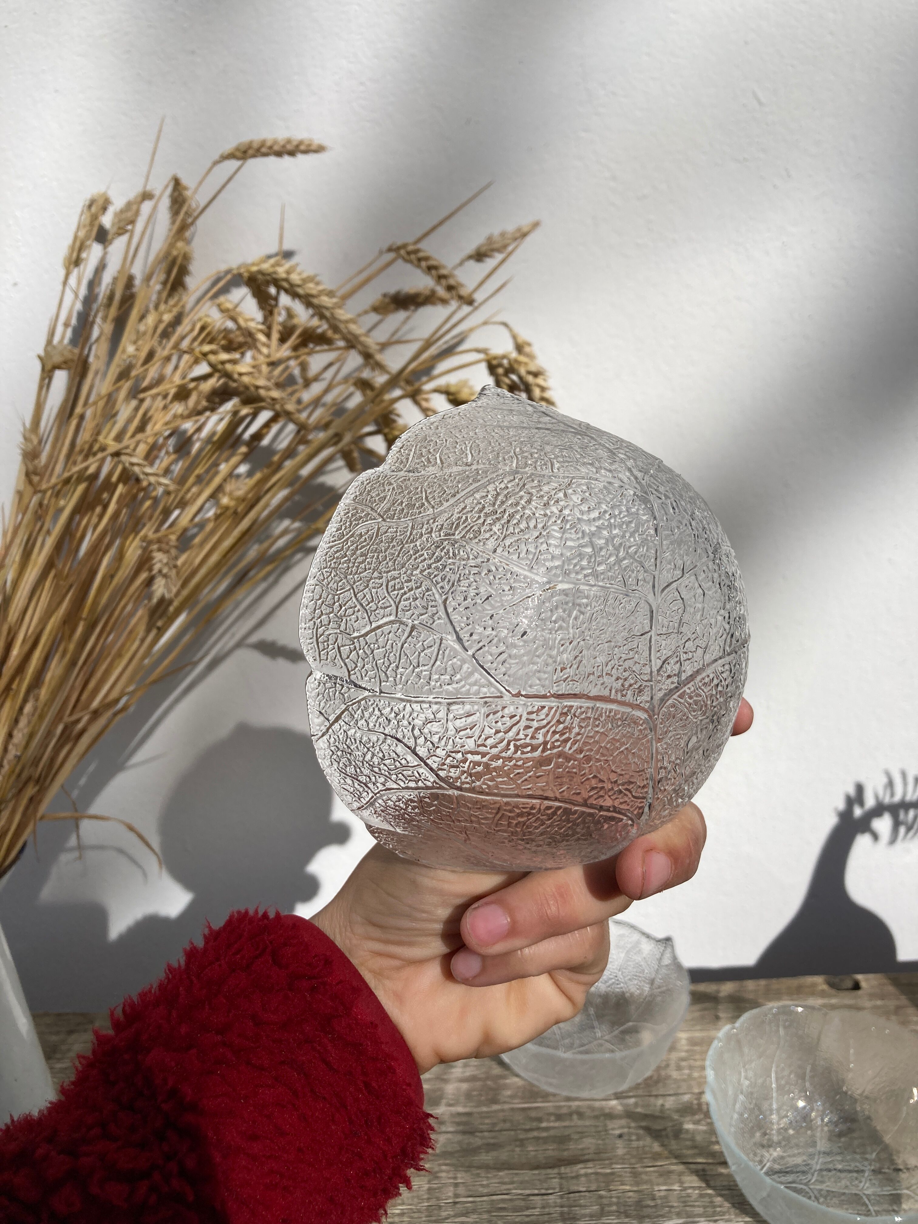 4 cups bowls transparent glass sheets