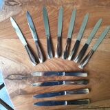 Service 12 horn handle knives