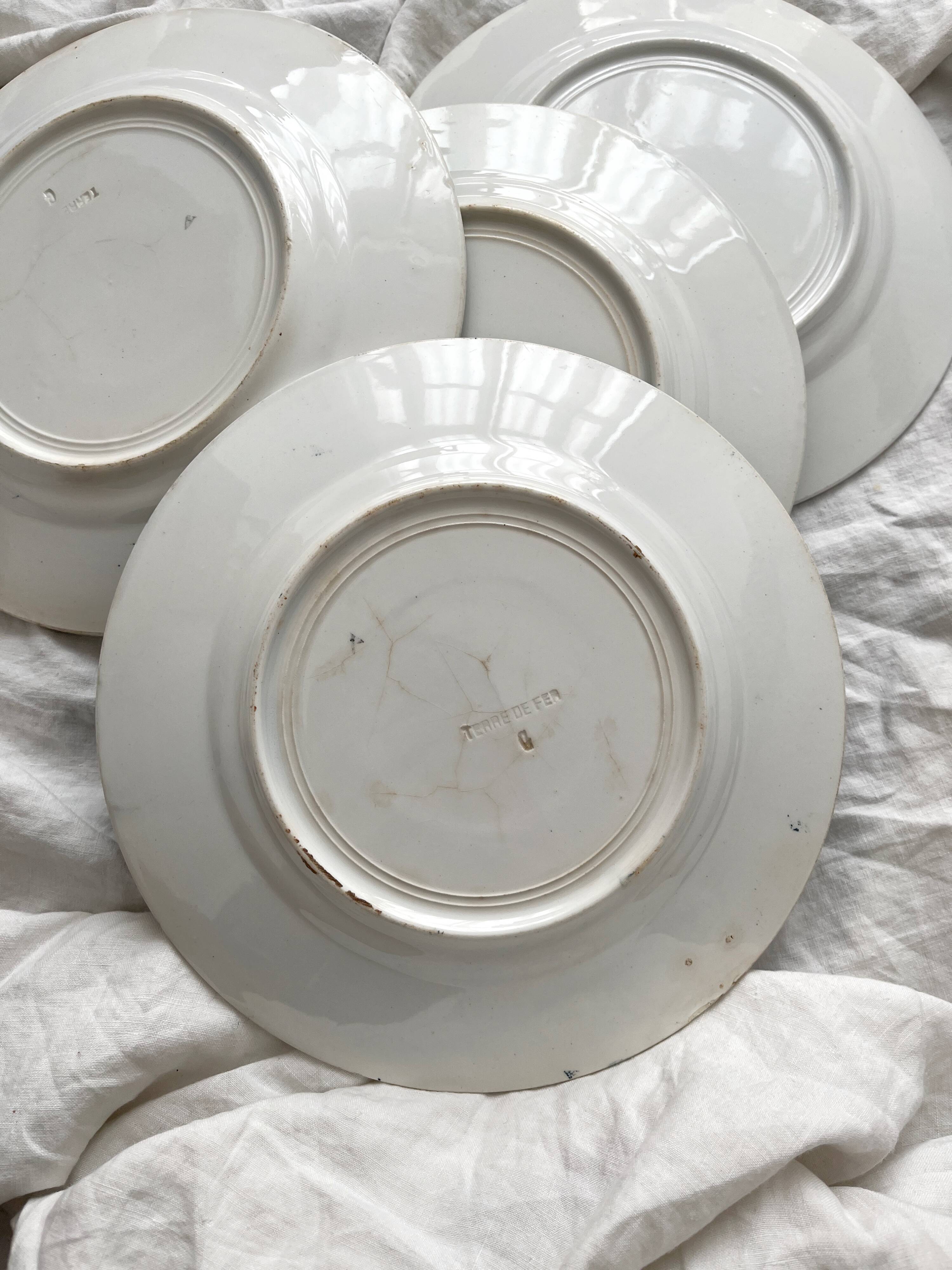 4 assiettes plates en terre de fer "Primevère" Saint Amand et Hamage