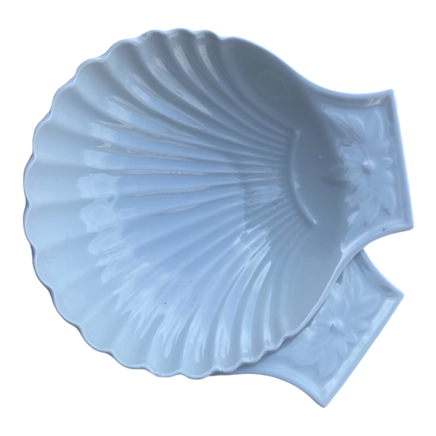 Empty pocket Shell white porcelain