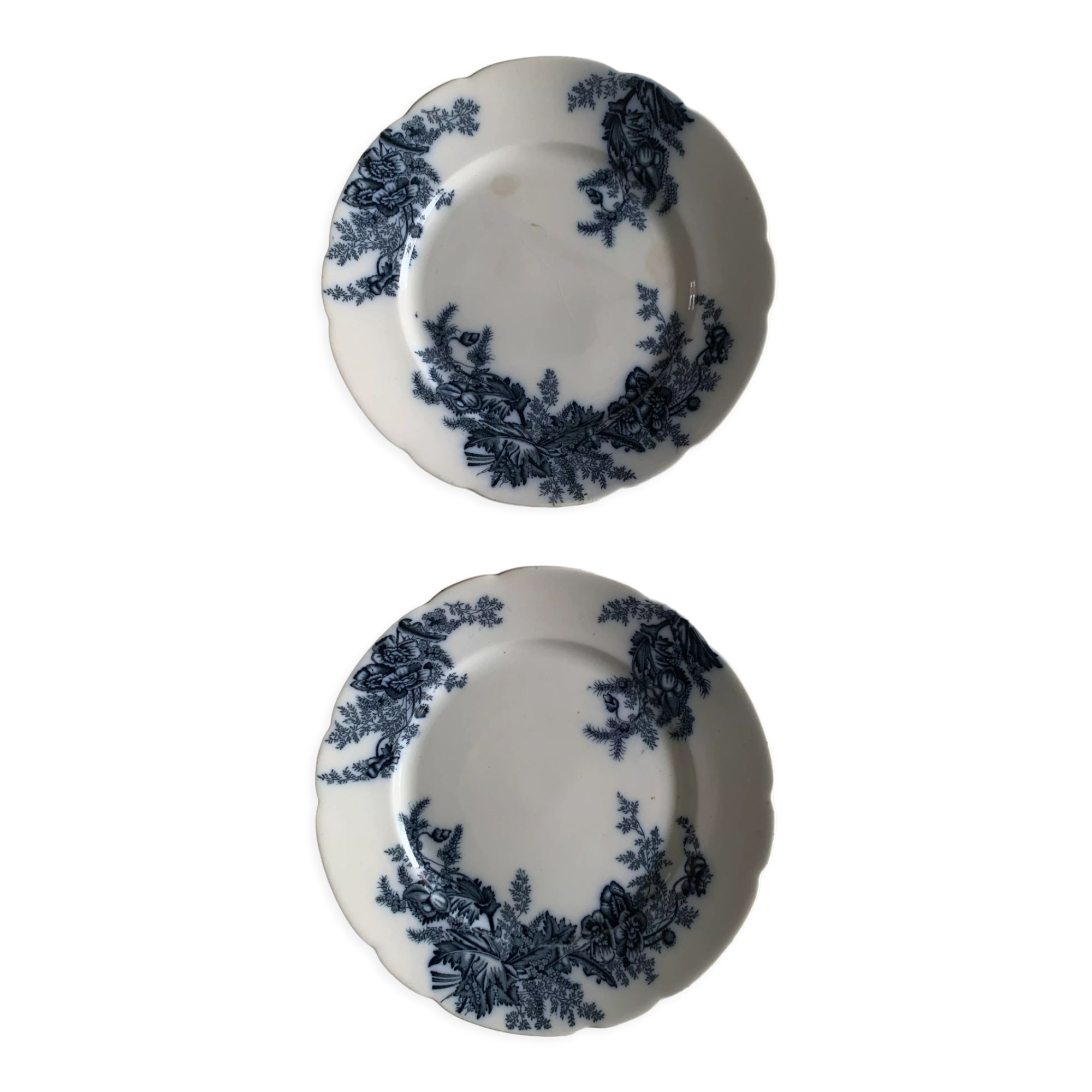 Set of two plates in English porcelain by Johnson Bros.