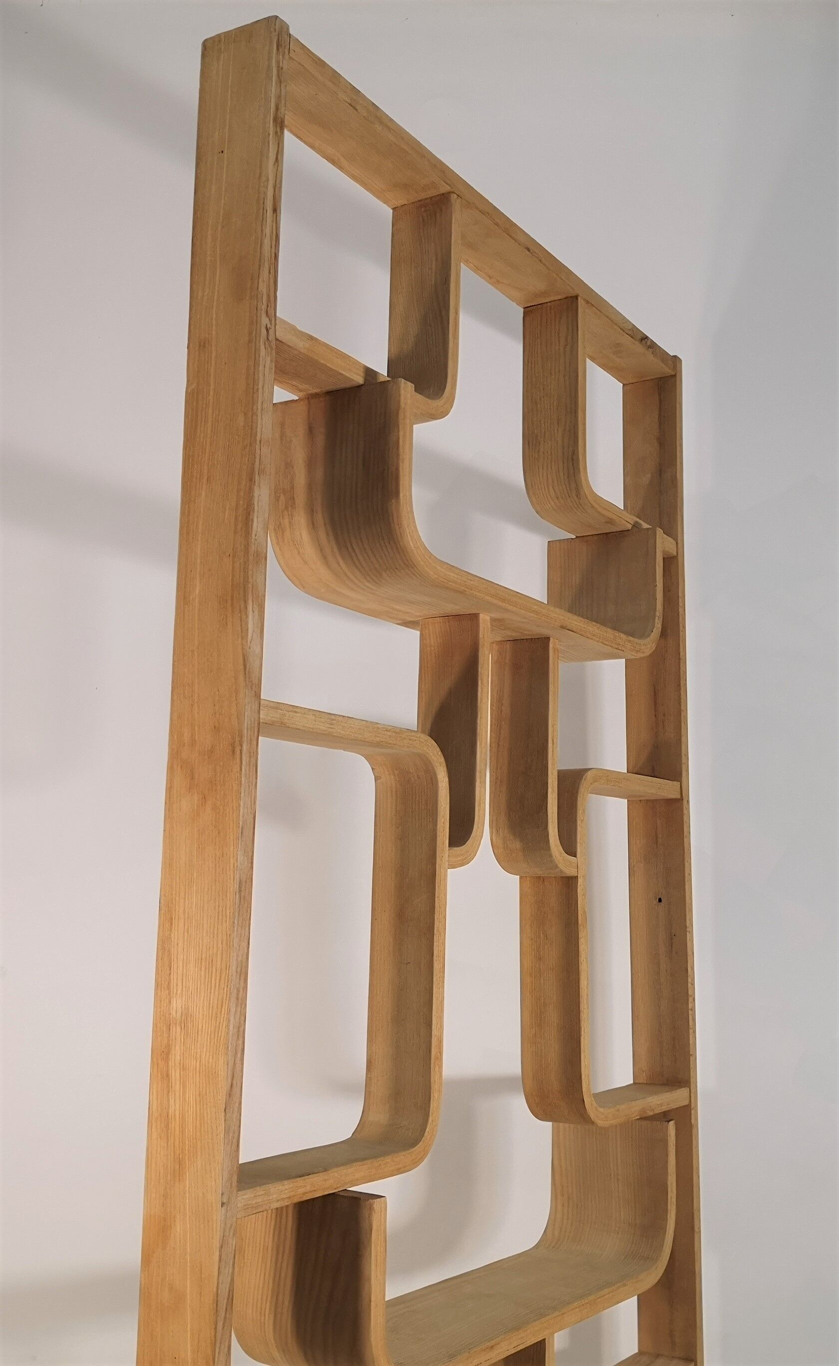 Room Divider designed by Ludvik Volak by Drevopodnik Holesov, 1960s