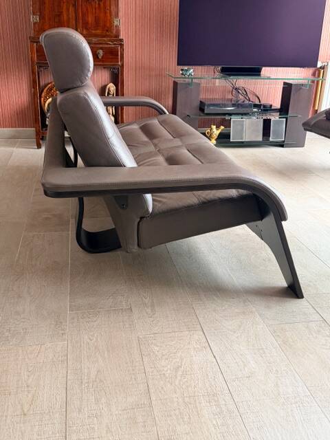 Nova roche bobois sofa