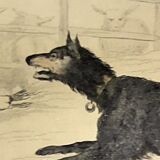 Original zoological frame engraving from 1839 " shepherd dog,....,.... "