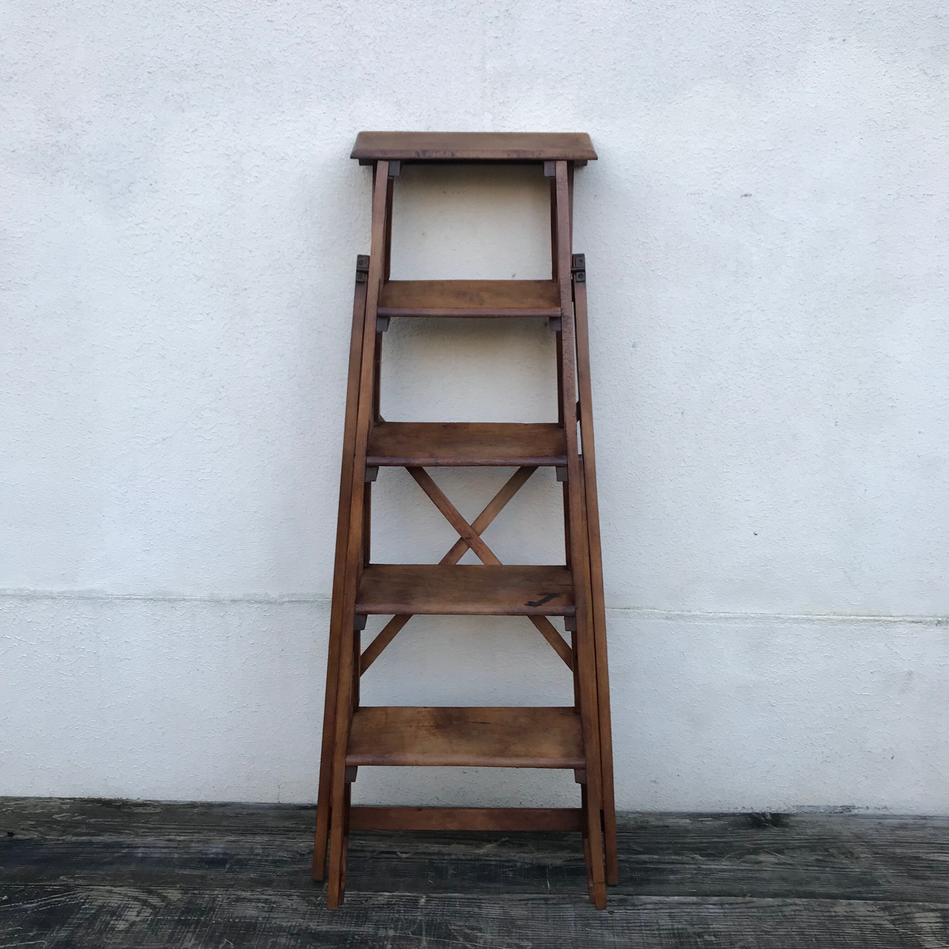 Old beech stepladder