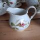 Coffee service "Briar Rose" Eschenbach