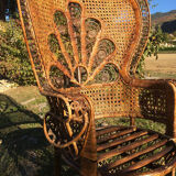 Emmanuelle adult peacock chair for the 70s