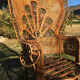 Emmanuelle adult peacock chair for the 70s