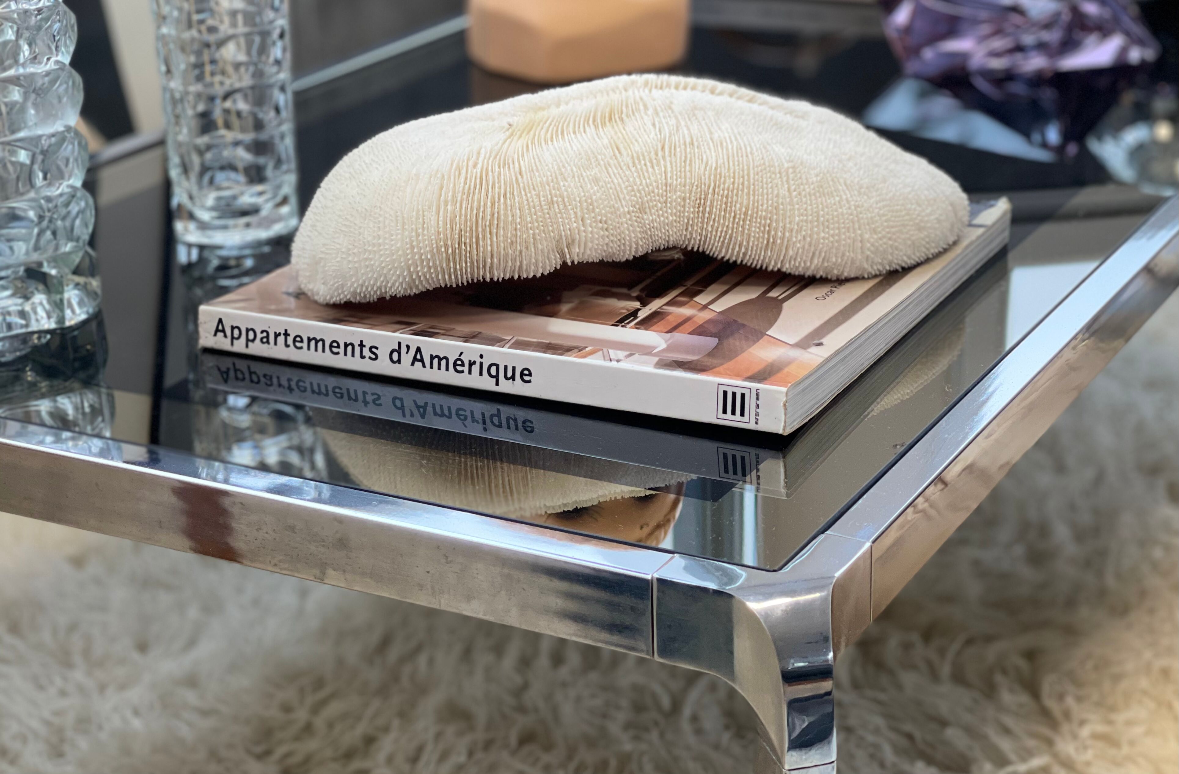 Ancient coral fungia