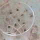 6 champagne flutes in glass and crystal, chiseled, vintage