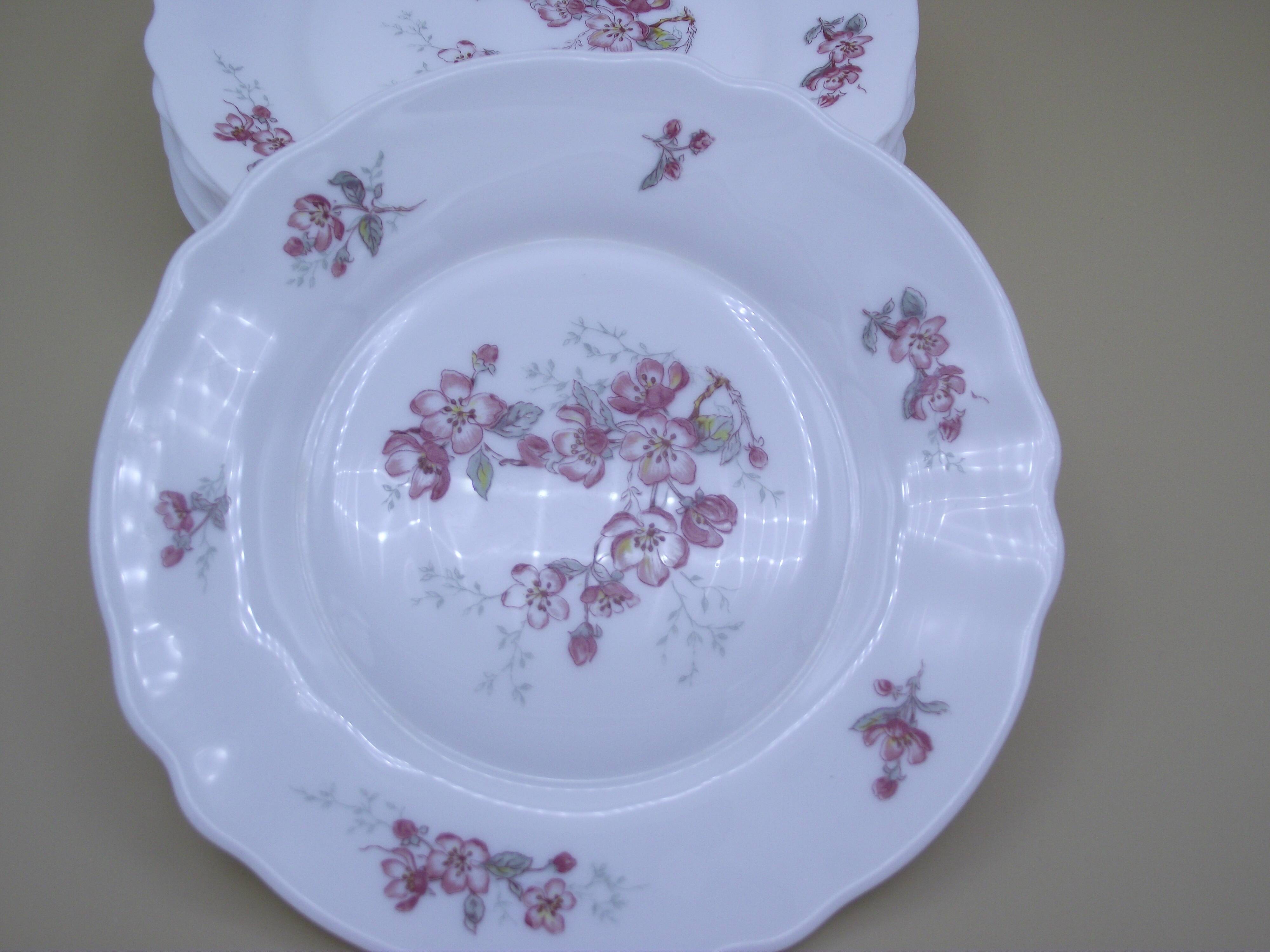 Lot of 9 dessert plates Arcopal France