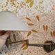 Brass wall lamp with vintage articulated arm, glass and brass shade