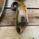 Fish dishes