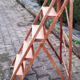 Painter's stepladder varnished