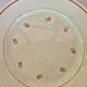 Round dish Gien Christiane