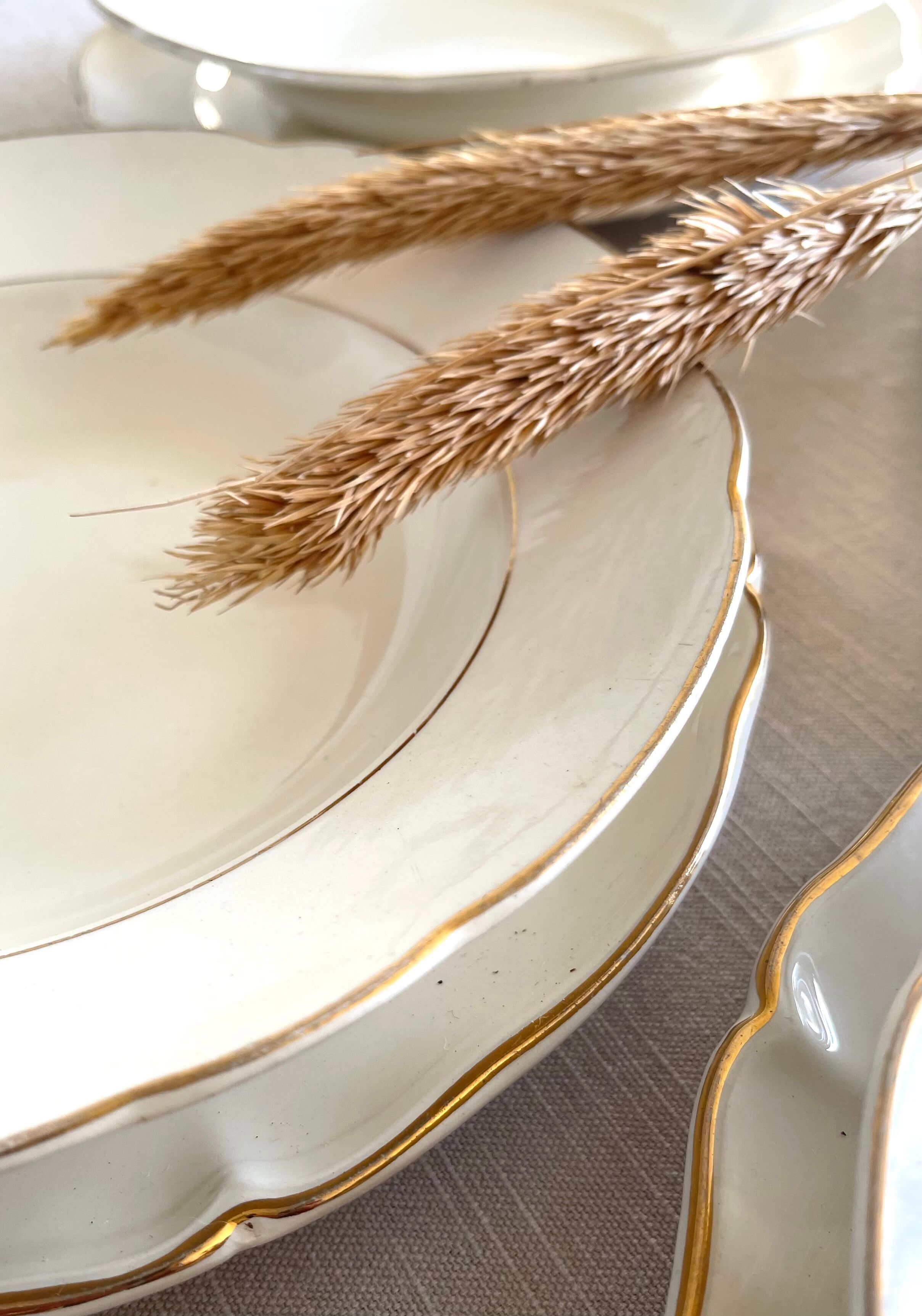 12 plates Villeroy & Boch 1950